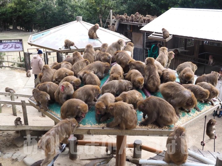 おすすめ観光地 04の写真